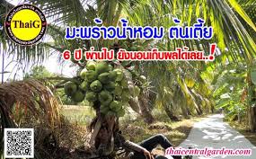 สำนักงาน 109/152 หมู่บ้านกฤษดานคร27 ม.2 ต.หอมเกร็ด อ.สามพราน จ.นครปฐม สวน บ้านบ่อคู่ หมู่10 ต.สระยายโสม อ.อู่ทอง. à¸¡à¸°à¸žà¸£ à¸²à¸§à¸™ à¸³à¸«à¸­à¸¡à¸• à¸™à¹€à¸• à¸¢ à¸• à¸™à¸¡à¸°à¸žà¸£ à¸²à¸§à¸ž à¸™à¸˜ à¹€à¸• à¸¢à¸¡ à¸ˆà¸£ à¸‡à¹„à¸«à¸¡