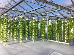 Large Scale Aeroponics Aquaponics Aquaponics System Aeroponics