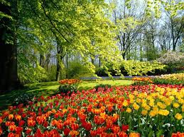 If you're in search of the best flower garden backgrounds, you've come to the right place. Flower Garden Backgrounds Wallpaper Cave
