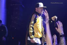 Image result for Rapsusklei