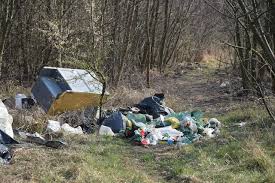 Park Poetów budzi się do życia. A ptaki dają nam piękny koncert ...