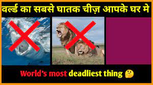 Most Dangerous Animal Hindi In 2021 Deadly Animals Most Deadly Animal Dangerous Animals