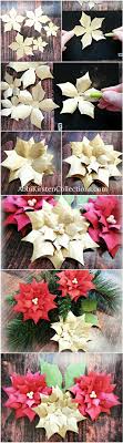 Wie Man Weihnachtsstern Blumen Macht Blumen Macht