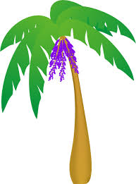 Palm leaf template palm tree leaf template printable palm paper craft about for children to make for palm sunday celebrations. Palm Leaf Clipart Palm Tree Leaves Clip Art Full Size Png Download Seekpng