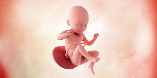Sedangkan mata bayi juga sudah mulai jelas sebab retina yang mulai mengembangkan pigmen. Perkembangan Janin Dan Ibu Hamil Minggu Ke 34