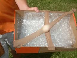 Egg Drop Egg Drop Project Egg Drop Contest Egg Drop