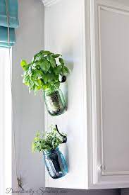 Indoor herb garden in wooden frame. Hanging Fresh Herbs In Vintage Blue And Green Mason Jars Herb Garden In Kitchen Hanging Herbs Vintage Mason Jars