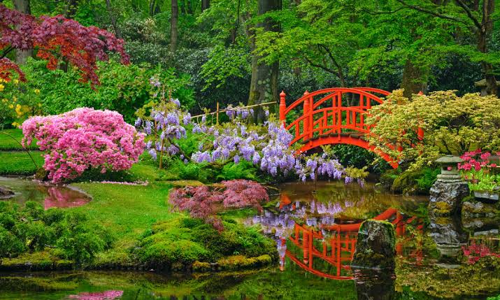 Image result for flower garden images"