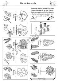 Www Grundschulate Bilder Produkte Gross Wald Werkstatt Arbeitsblaetter Lernsp Pinmodealle In 2020 Science For Kids Wald Kindergarten