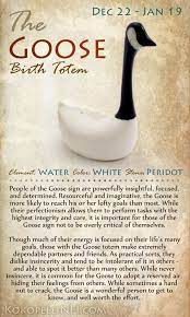 Sacred Gems Birth Totem Birth Totem Animals Animal Totems