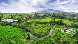 Bukit Lawang Lake Toba Trip 5days 4nights Indonesia Landscape Farmland Landscape Java Indonesia
