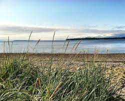 Birch bay camping near the cascades fresh air, green trees, and towering mountains are standard at beachwood resort, our newest resort and first outdoor destination in the state of washington. Wings Over Water Blaine Nw Washington