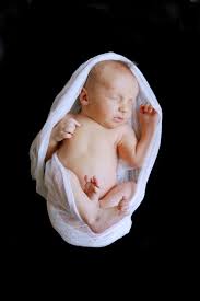 These plants will look great in any home. How To Take Newborn Photos At Home Diy Baby Photoshoot