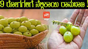 Caio.bettinelli ретвитнул(а) jeff nascimento #boulos50 #anamielke50075. 9 à²° à²—à²—à²³ à²— à²¨ à²² à²² à²• à²¯ à²° à²®à²¬ à²£ Amla Uses And Benefits In Kannada Yoyo Tv Kannada Health Youtube