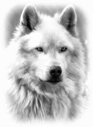 Black And Grey Wolf Drawing Grey Wolf Portrait Bw By Athena Mckinzie Https Fineartamerica Com Featured Grey Wolf Portrait Bw Athena Mckinzie Html Newar Wolf Dog Wolf Painting Grey Wolf
