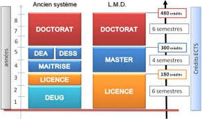 Systeme Lmd Mode D Emploi Systeme D Mode D Emploi Maitrise De Soi