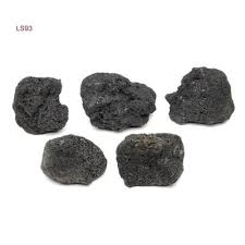 Lavastein Schwarz Set 94 Garnelengarten In 2020 Lavastein Lava Steine