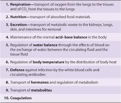 The Liver - An Amazing Organ - Gastrointestinal Society