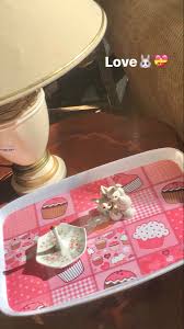 Lilachibbert Hard To Love Cute Humble Abode