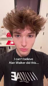 Alan Walker Love You