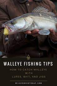 Walleye Fishing Tips How To Fish For Walleye And Catch Them Walleye Fishing Tips Walleye Fishing Trout Fishing Tips
