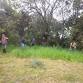 Laguna Stewards Day at Sam Jones Hall Habitat event image
