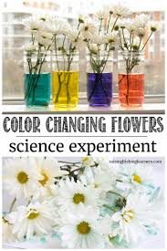 Which moon has a thick atmosphere made mostly of nitrogen? Color Changing Flowers Spring Science Experiment