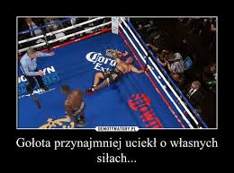 Adam kownacki sprawił dużą niespodziankę i znokautował artura szpilkę. Cala Polska Wstala Na Walke A Szpilka Memy