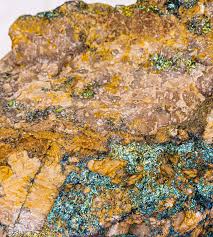 Image result for Empogona cacondensis