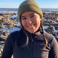 70+ "Chamorro" profiles