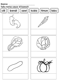 Lembaran kerja prasekolah lembaran kerja tema sayur lembaran kerja mat in 2020 community helpers worksheets preschool community helpers worksheets preschool worksheets. Lembaran Kerja Prasekolah Tema Sayur Sayuran Resep Kuini