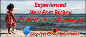 Several special issues with child custody may arise. New Port Richey Child Custody Attorney