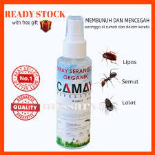 Cara menghapuskan semut dalam kereta. Ubat Semut Dalam Kereta Pertanyaan M