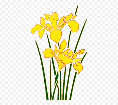 Download lebih dari 20 gambar bunga png tanpa background untuk mempercantik. Taman Bunga Png Transparent Icon Png Flower Cartoon Bunga Png Free Transparent Png Images Pngaaa Com