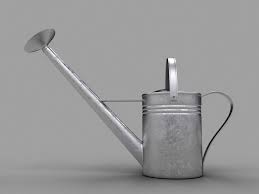 Realistic Watering Can Watering Can Canning Watering