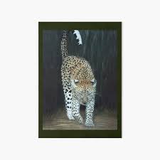 After a very short struggle, the snow leopard kills the bird. Tall Grasses Gifts Merchandise Redbubble
