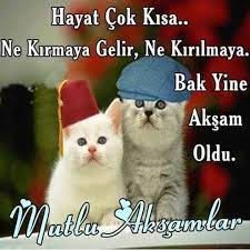 hayvanlari sevmiyen kendini de insanlari da sevmez burda yazdigi gibi hayat cok kisa yine aksam oldu yaradana emanetiz hepimiz komik fikralar hayvan mutlu