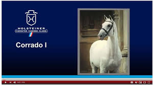 We did not find results for: Corrado I Ist Tot Zucht News Reiterrevue International