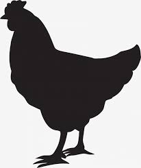 Are you looking for the best chicken black and white clipart for your personal blogs, projects or designs, then clipartmag is the place just for you. Chicken Png Black And White Stock Chicken Clipart Png Transparent Png Png Download 709385 Png Images On Pngarea