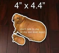 All your memes, gifs & funny pics in one place. Don T Talk To Me Or My Son Ever Again Fat Dog Doge Boi Decal Car Bumper Sticker Ebay