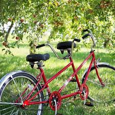 A tandem partnership is when two people meet for mutual language practice. Tandemverleih Tandem In Berlin Gunstig Mieten