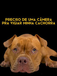 Ana Stella Ellery (@anastellaellery)