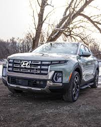 Image result for Hampton Gray 2025 Santa Cruz