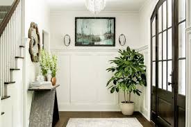 Check spelling or type a new query. Monstera Dan 7 Tanaman Interior Yang Bikin Rumah Segar Alami Teras Id