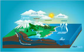Es la parte oceánica de la biosfera y es mas espaciosa y mas extendida, a partir de una zona con luz (zona eufótica) de algunas decenas de. Ciclo Del Agua1 Jpg 1468 909 Ciclo Del Agua Maqueta Ciclo Del Agua Ciencias Naturales