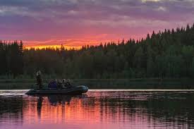 Stay three nights in a forest hut at kolarbyn ecolodge. 3 Night Kolarbyn Ecolodge Wildlife Adventure With Guided Moose And Beaver Safaris 2021 Central Sweden