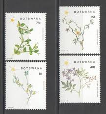 Image result for Cienfuegosia digitata