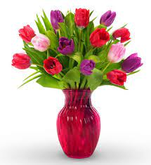 We did not find results for: Avas Flowers Tulip Coupon Codes Avas Flowers