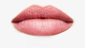 We did not find results for: Lips Lipstick Lip Aesthetic Aesthetics Cute Freetoedit Lip Gloss Hd Png Download Transparent Png Image Pngitem