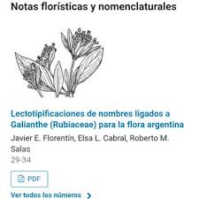 Image result for Sericanthe chimanimaniensis